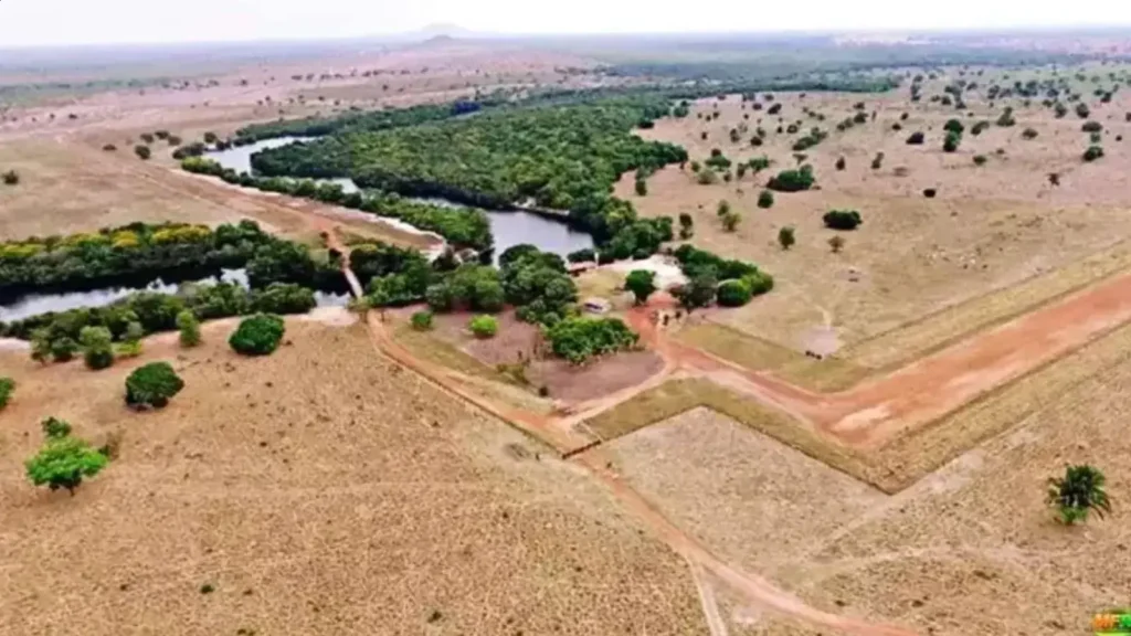 Amado Batista: aos 75 anos, uma fortuna de R$ 1 bilhão e legado musical