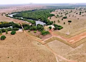 Amado Batista: aos 75 anos, uma fortuna de R$ 1 bilhão e legado musical