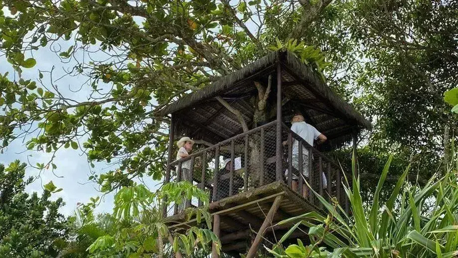 Ana Maria Braga: Refúgio de luxo em Maresias encantando aos fãs