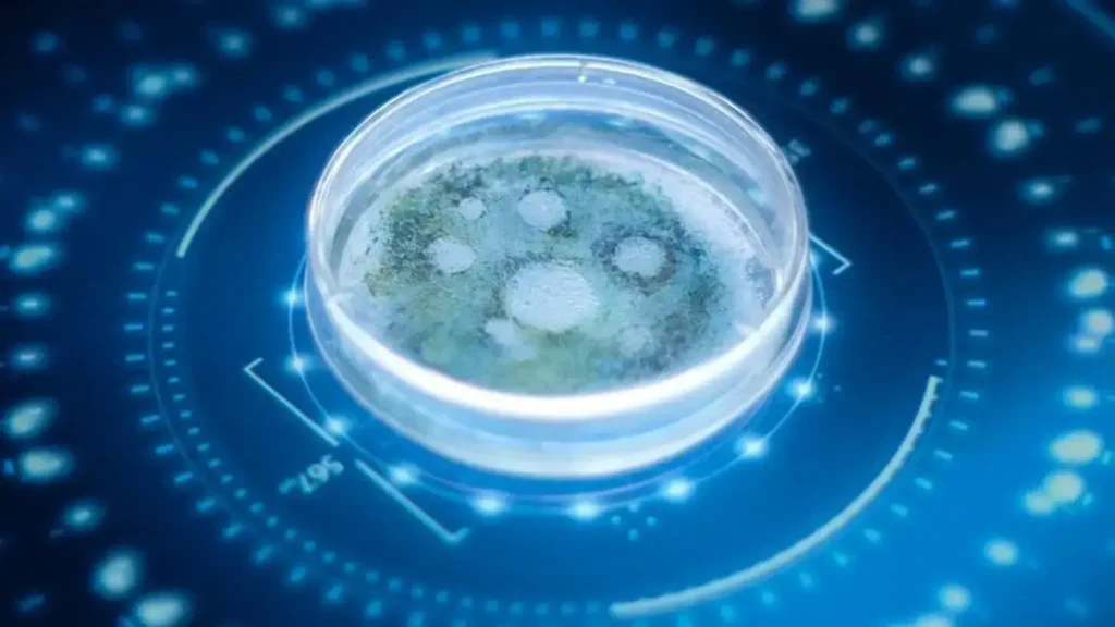 Como a IA está Transformando a Descoberta de Medicamentos