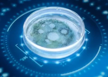 Como a IA está Transformando a Descoberta de Medicamentos