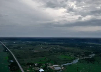 Folha abre seleção para colaboradores na Amazônia e quer você!