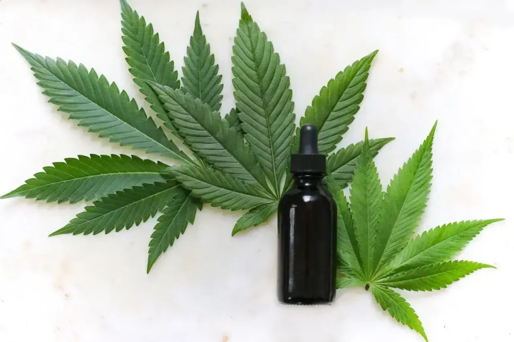Maconha medicinal: estudos mostram mais prejuízos que benefícios