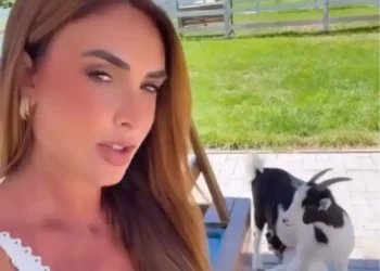 Nicole Bahls diz que cabrito Leo Dias é fêmea e surpreende: virou mãe