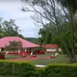 Ratinho: O bilionário que constrói seu império no agronegócio brasileiro