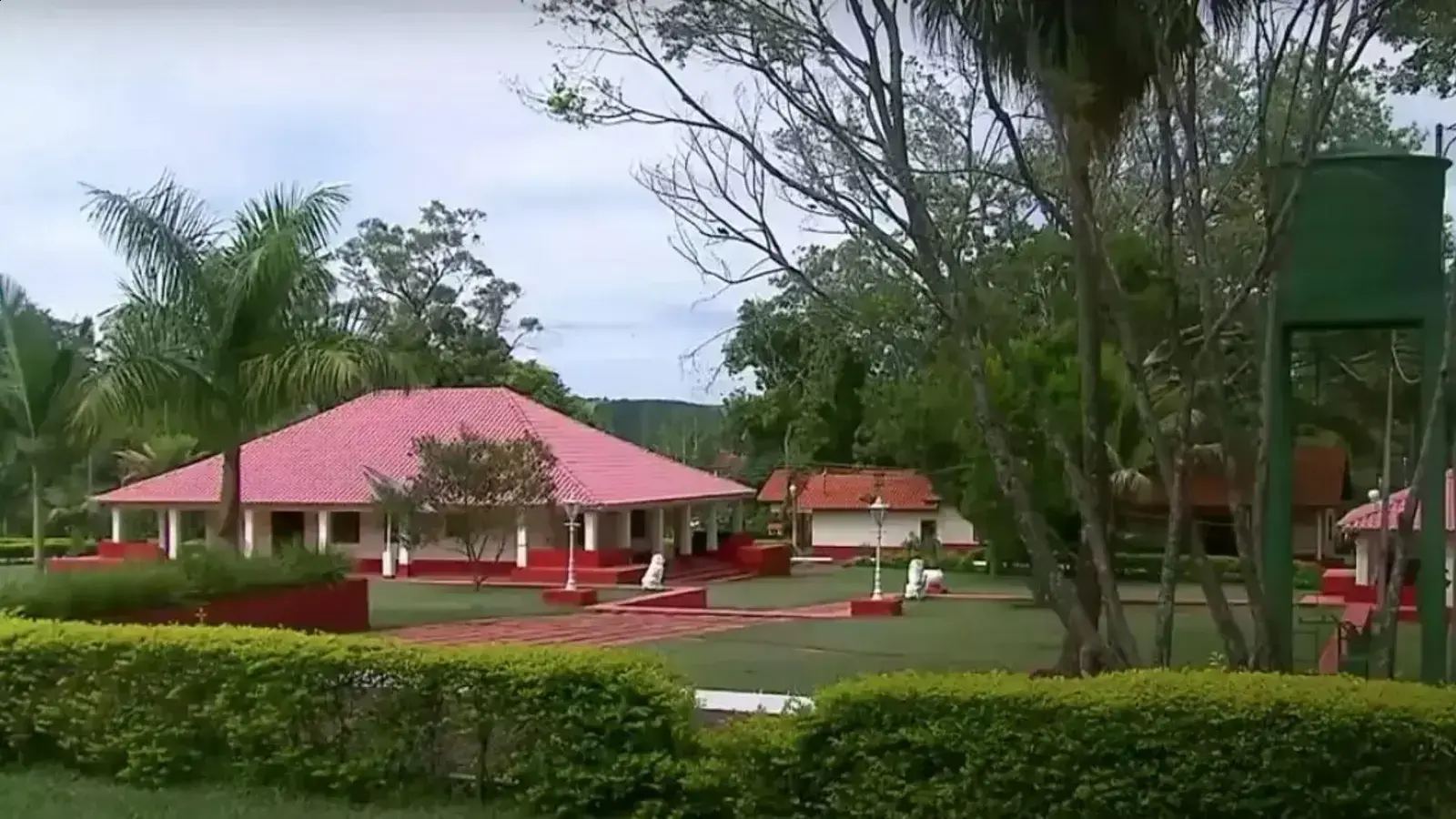 Ratinho: O bilionário que constrói seu império no agronegócio brasileiro