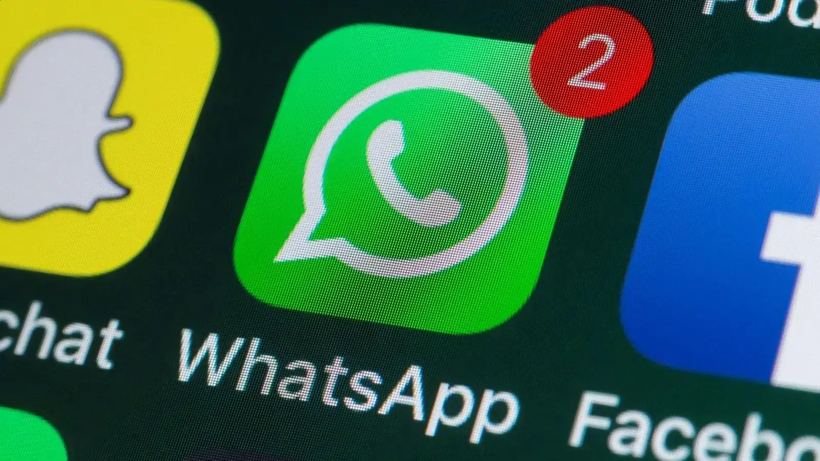 WhatsApp libera personalização de ícones e cores — só para assinantes