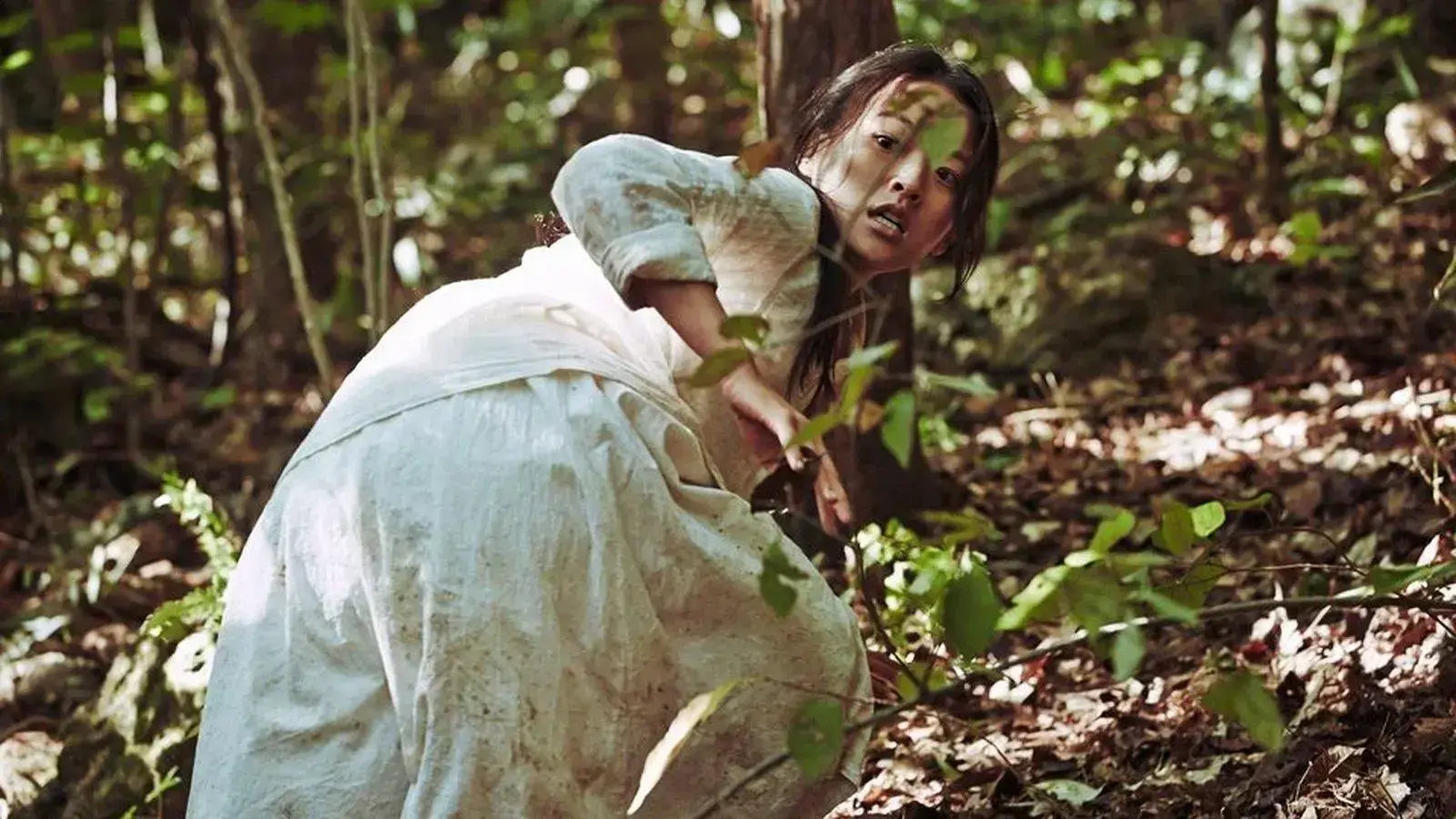 10 filmes de zumbi pouco conhecidos que vão surpreender você