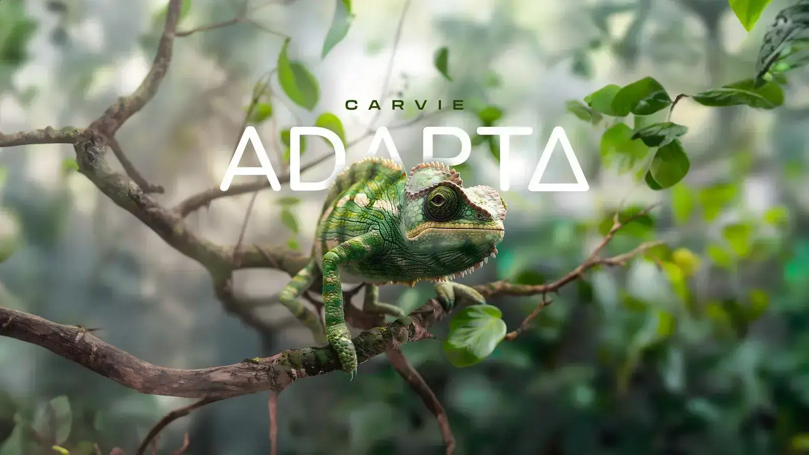 Adapta adquire Skip e expande sua atuação em ferramentas de IA
