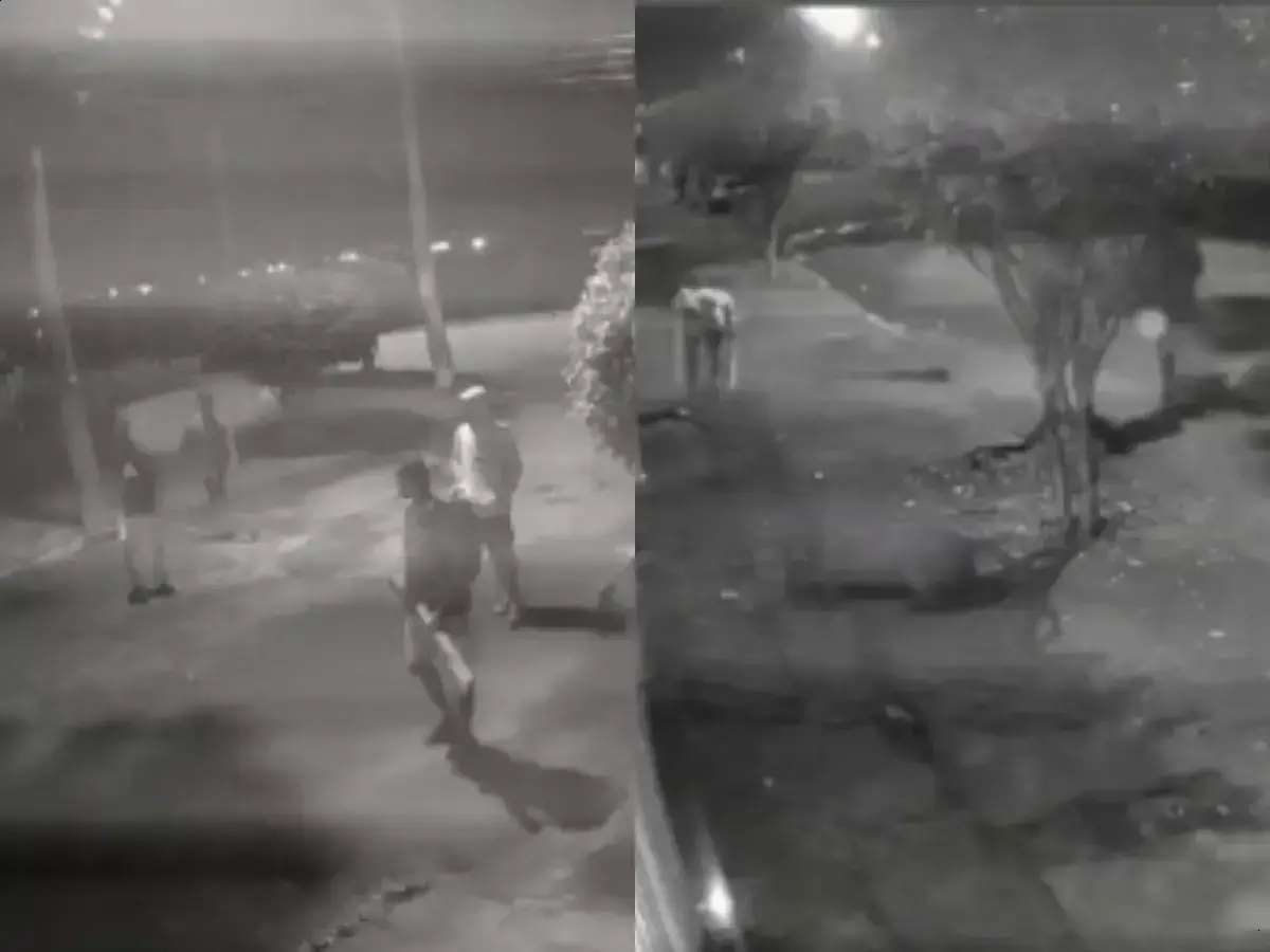 Capivara é atacada em ação covarde no Rio de Janeiro e moradores se revoltam