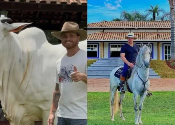 Eduardo Costa e Gustavo Tubarão investem em vaca de R$ 2 milhões