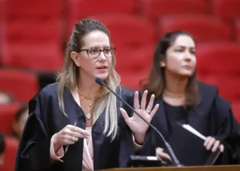 Flávio Bolsonaro define equipe jurídica para sua campanha à presidência