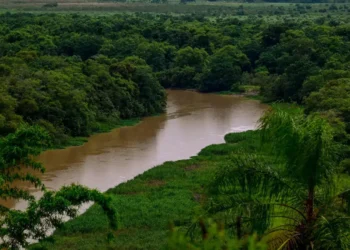 Governo de SP Aumenta Monitoramento Ambiental Com Satélites