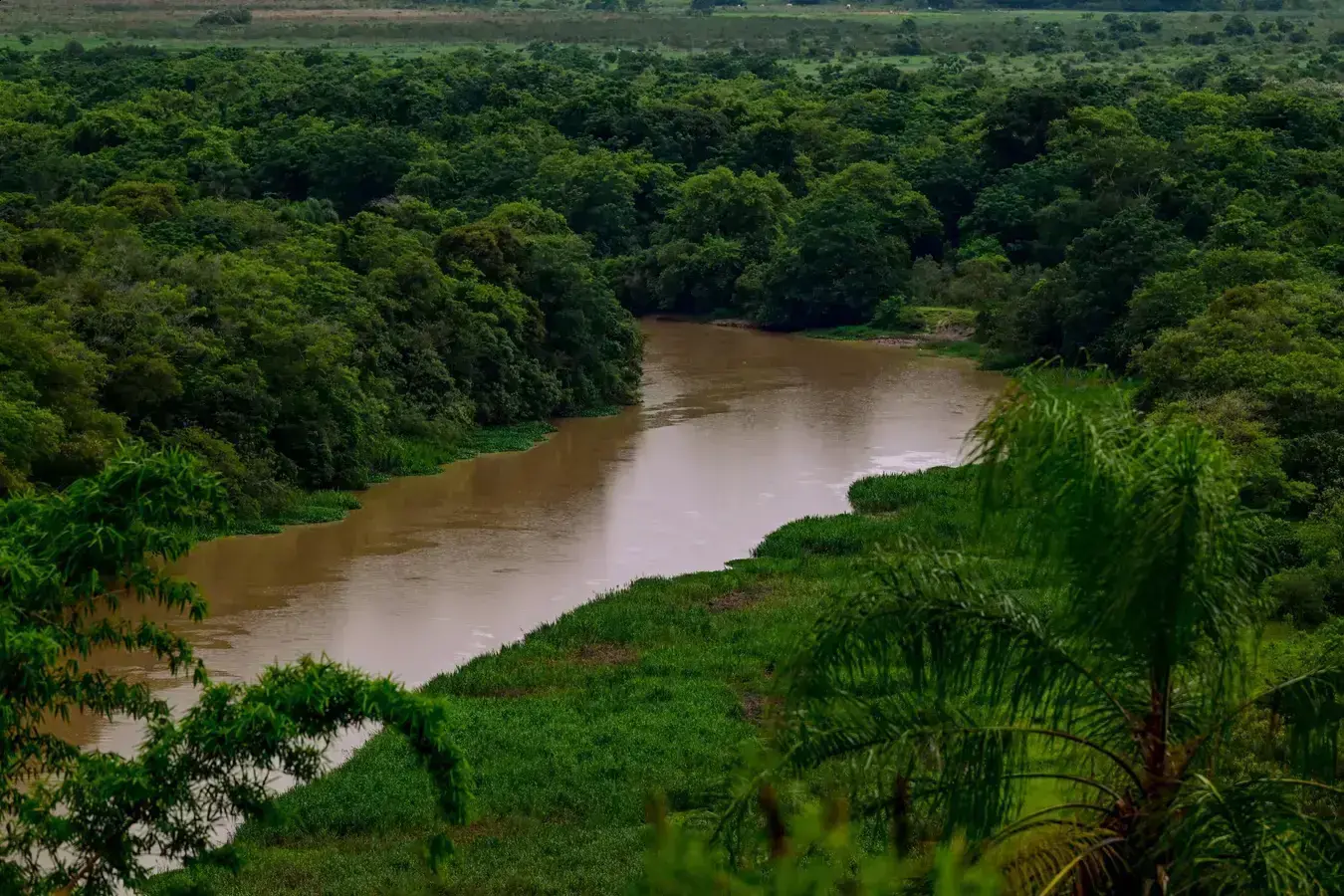Governo de SP Aumenta Monitoramento Ambiental Com Satélites