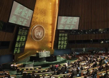 ONU fiscaliza políticas voltadas para mulheres no Brasil em visita