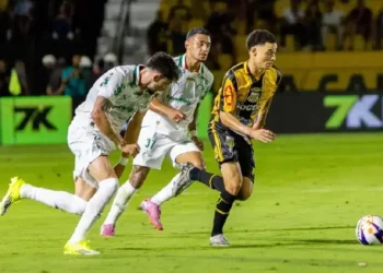 Palmeiras e Novorizontino: Um Duelo Memorável no Campeonato Paulista