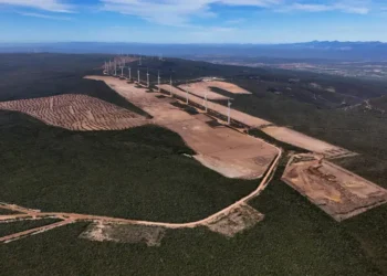 Setor de Energia Renovável cobra atenção nas eleições 2026