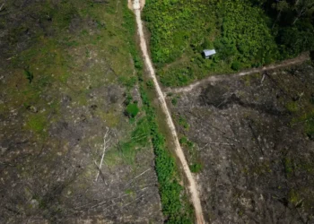 STF proíbe emendas para obras que agridem o meio ambiente
