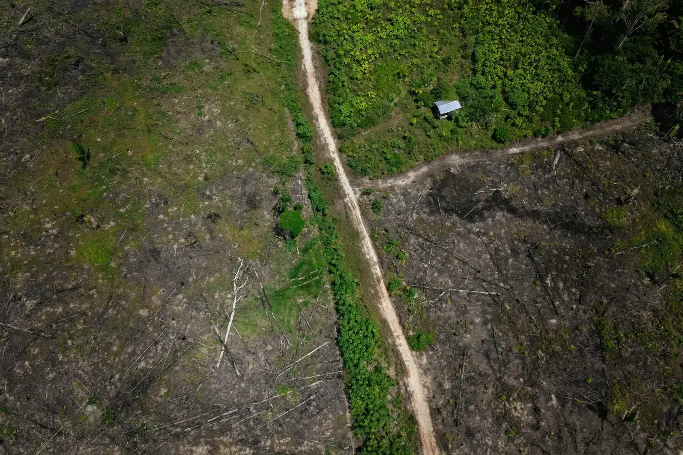 STF proíbe emendas para obras que agridem o meio ambiente