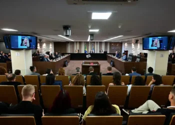 TCU: Desvendando a estrutura e os desafios do controle público no Brasil