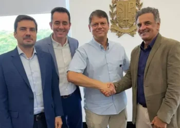 Aliados de Tarcísio expressam ceticismo sobre candidatura tucana em São Paulo