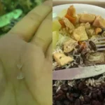 Alunos da UFRJ reclamam de comida com insetos e peças de metal