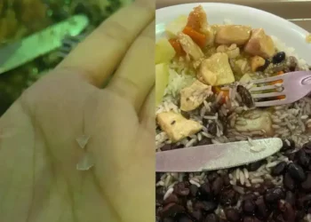 Alunos da UFRJ reclamam de comida com insetos e peças de metal