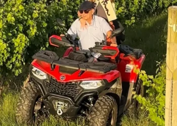 Galvão Bueno volta aos comentários esportivos e investe em vinhos