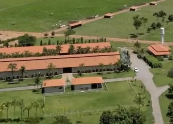 Henrique e Juliano: A Fazenda Luxuosa e o Compromisso Social