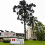 Justiça suspende PDV da Celepar e exige negociação com sindicato
