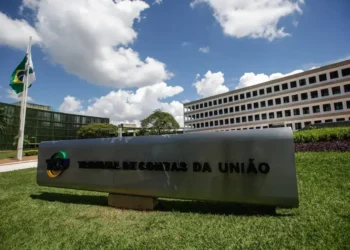 Os desafios do controle da corrupção e a relação com os governantes