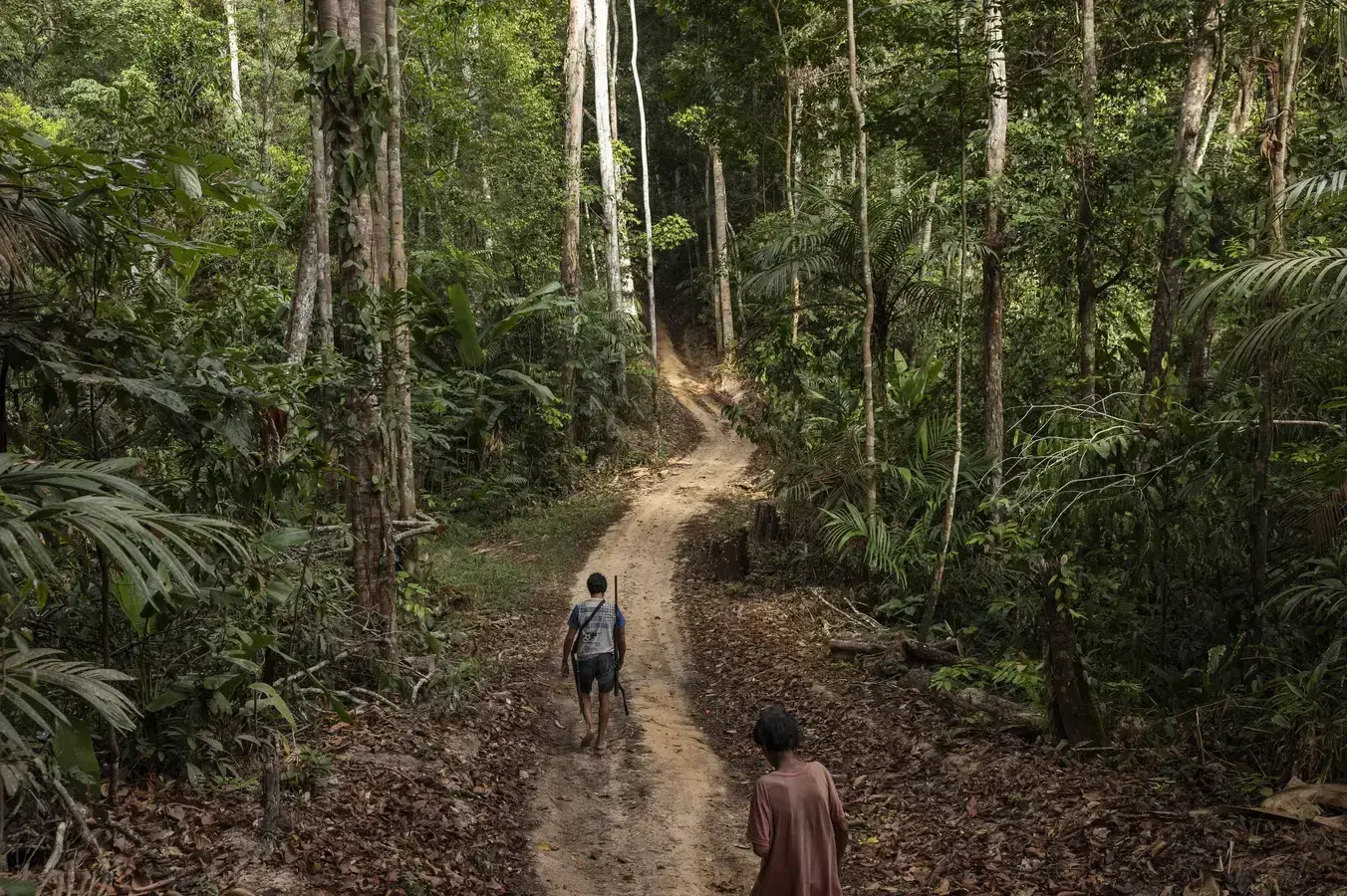 Rainforest Investigations Network abre inscrições para jornalistas em 2026