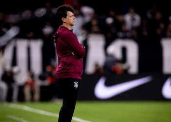 Diniz diz que gramado de Itaquera é o pior que já viu