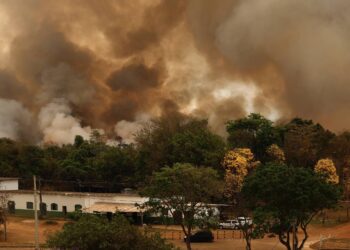 Queimada no Brasil reduz 33% mesmo com risco de El Niño em 2026