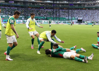 Maurício atinge marco significativo com a camisa do Palmeiras
