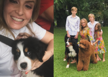 Angélica e Luciano Huck compartilham dor pela perda do cachorro da família e destacam seu amor