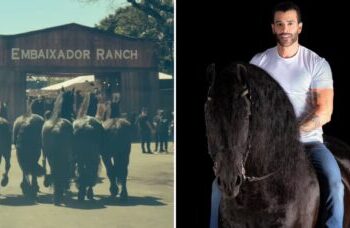Cantor sertanejo investe R$ 5 milhões em animal e cria império no agronegócio com haras de cavalos de elite
