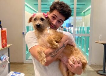 João Guilherme apresenta sua nova cachorrinha, Maria Joana, como a melhor companhia